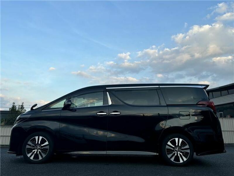 ALPHARD-12