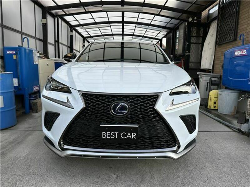 LEXUS　NX