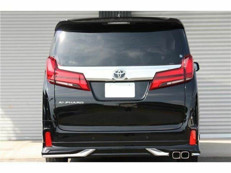 ALPHARD-10