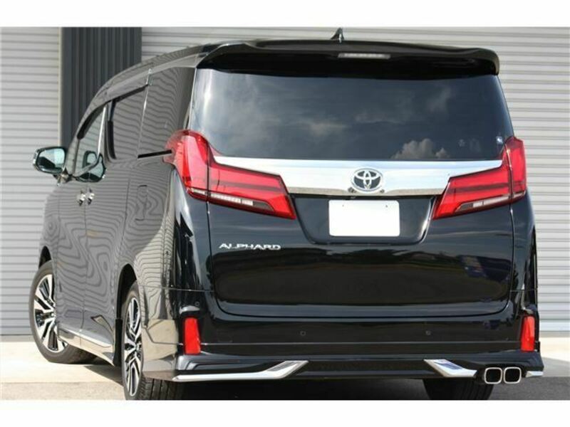 ALPHARD-12