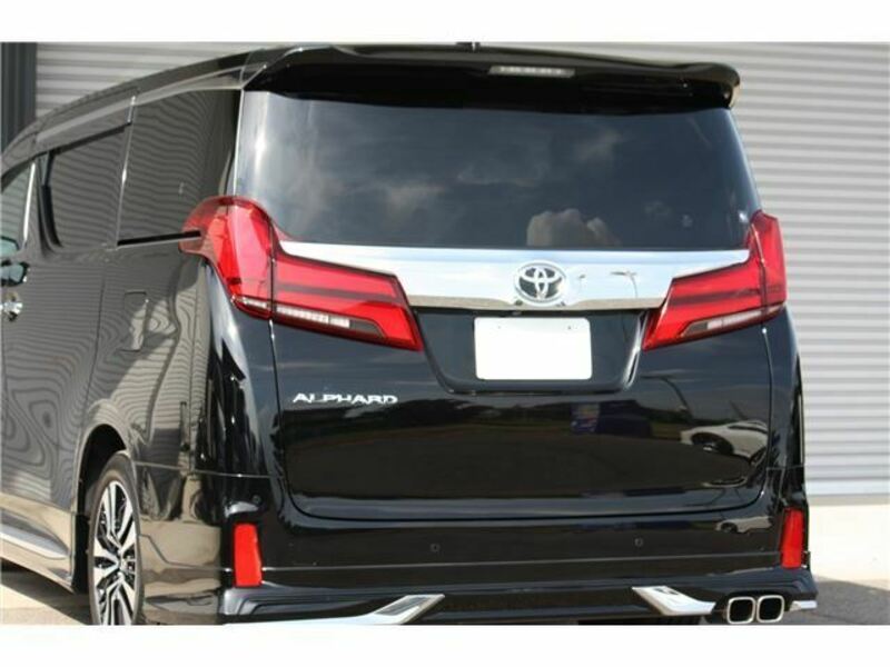 ALPHARD-13