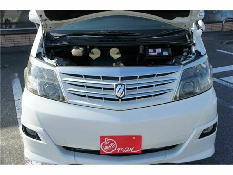 ALPHARD-33