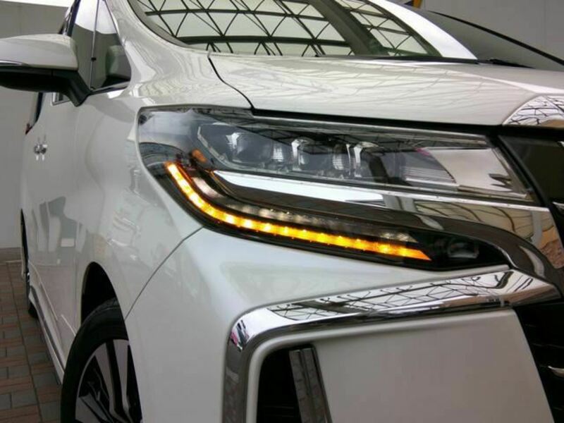 ALPHARD-18