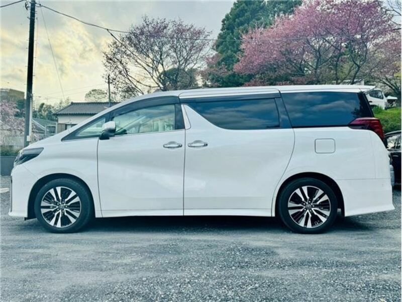 ALPHARD-6