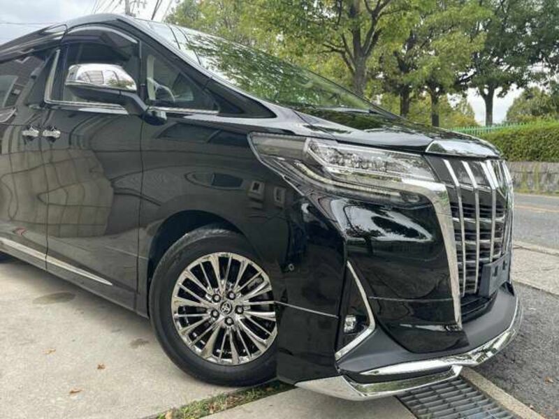 ALPHARD-6