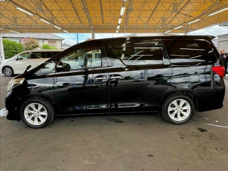 ALPHARD-12