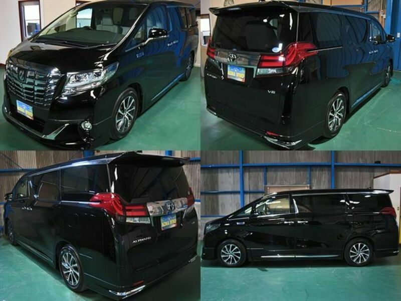 ALPHARD-1