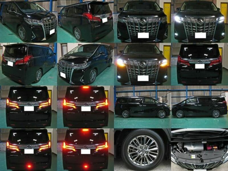 ALPHARD-1