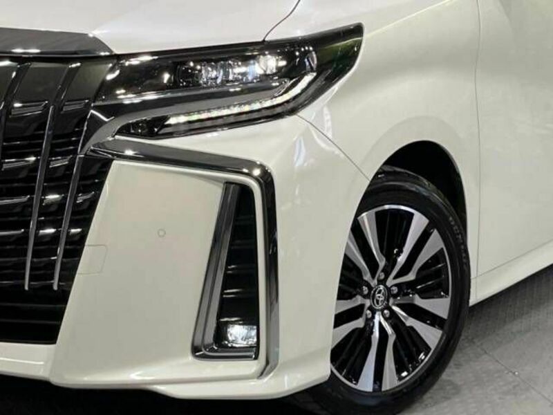 ALPHARD-13