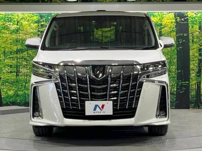 ALPHARD-15