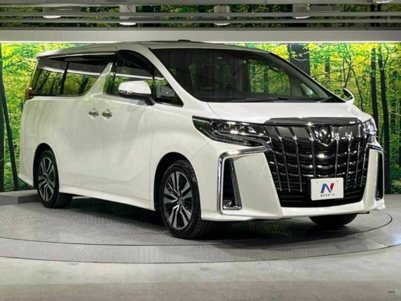 ALPHARD-17