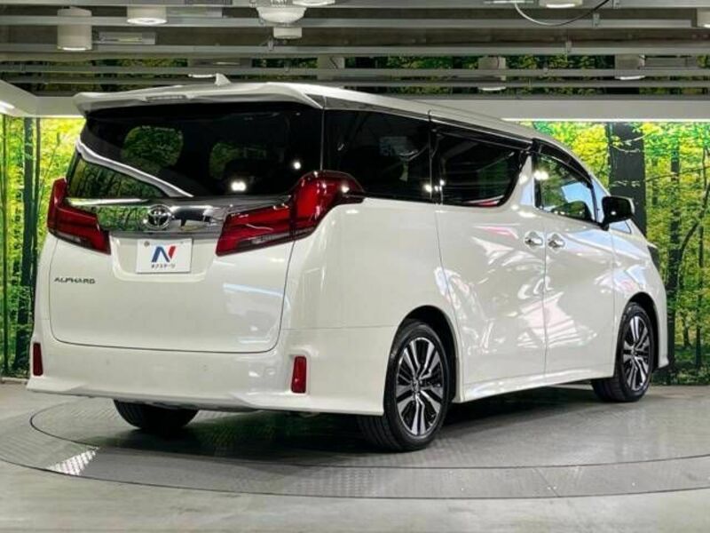 ALPHARD-18