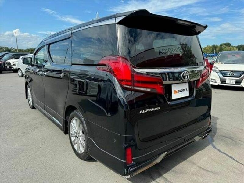 ALPHARD-12