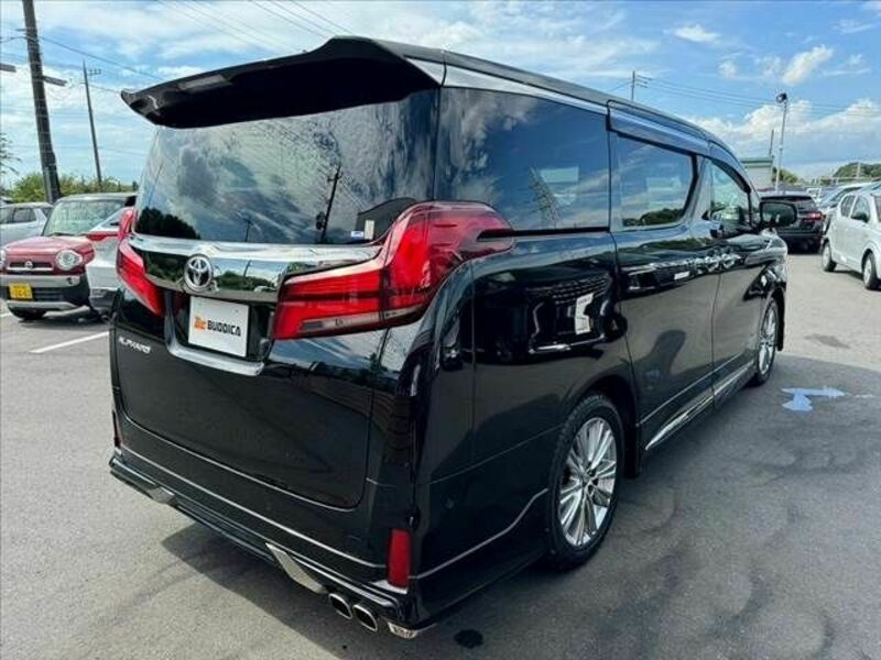 ALPHARD-14