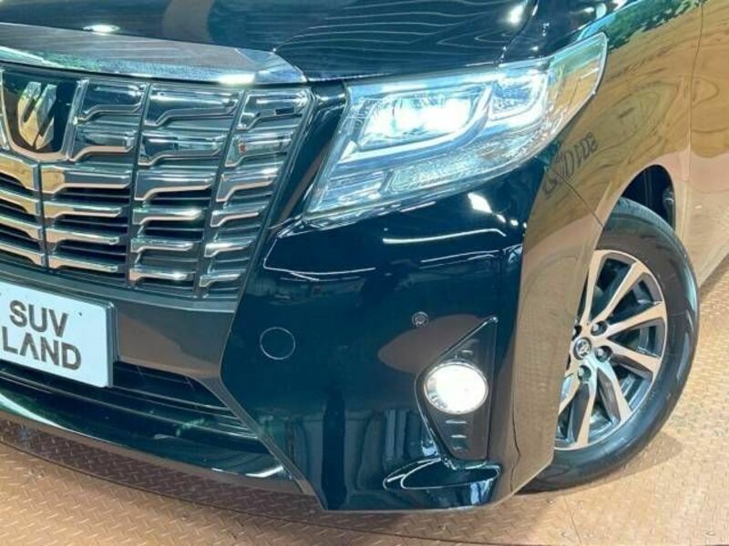 ALPHARD-12