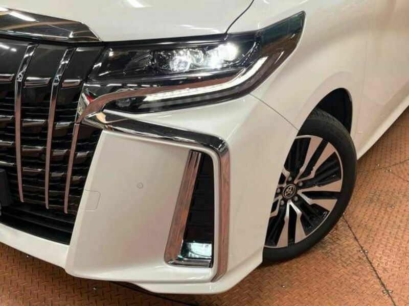 ALPHARD-14