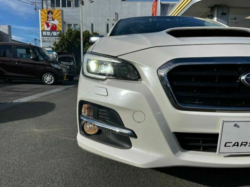 LEVORG-24