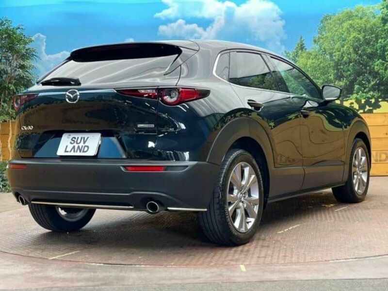 CX-30-17