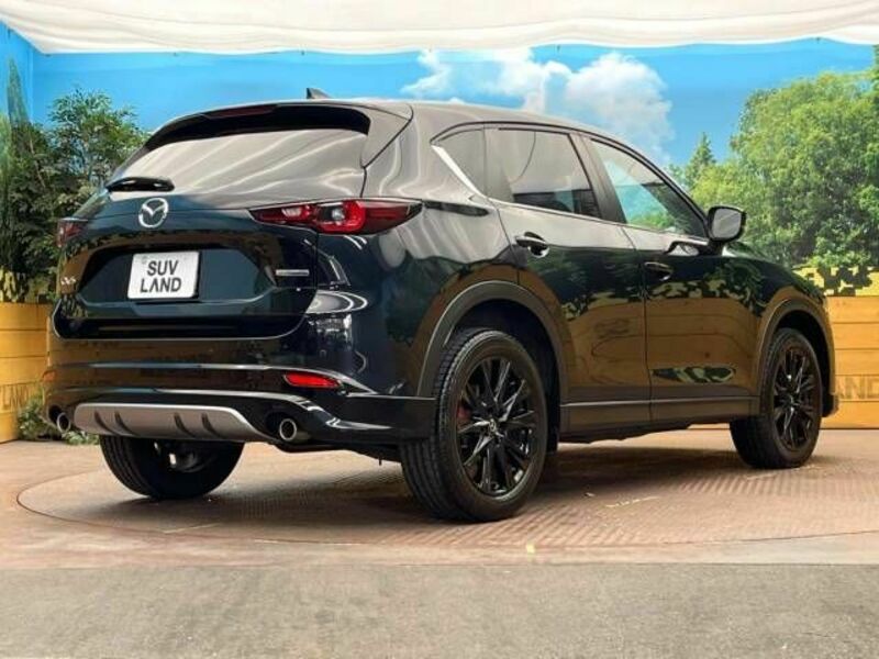 CX-5-17