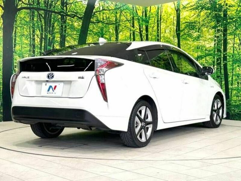 PRIUS-17