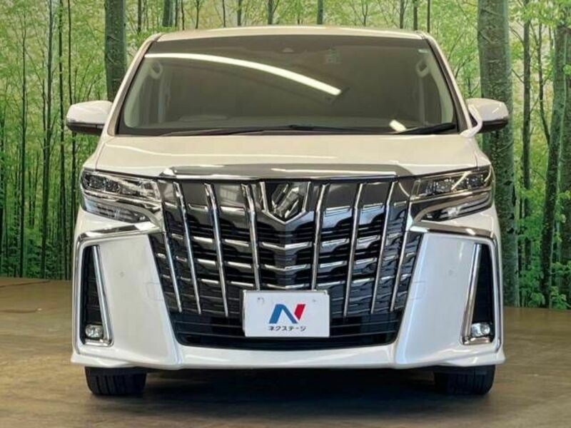 ALPHARD-15