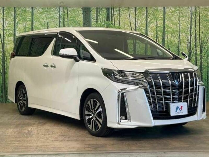 ALPHARD-17