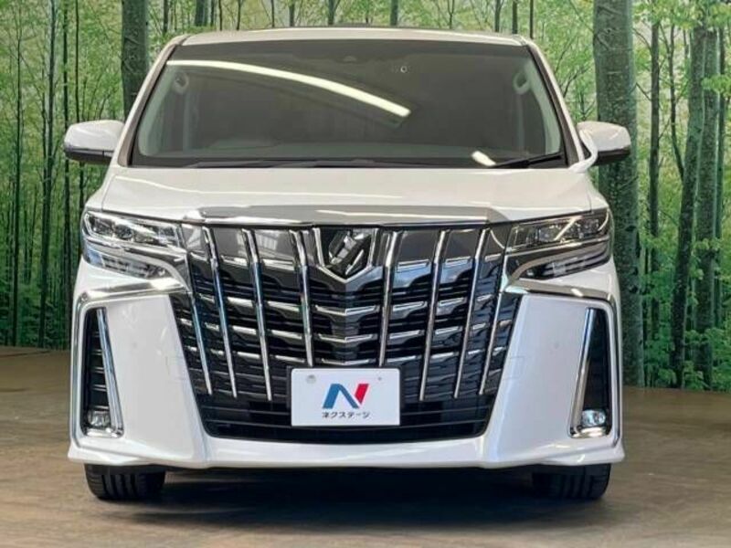 ALPHARD-16