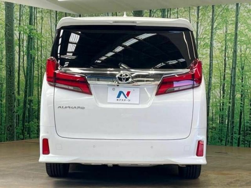 ALPHARD-17