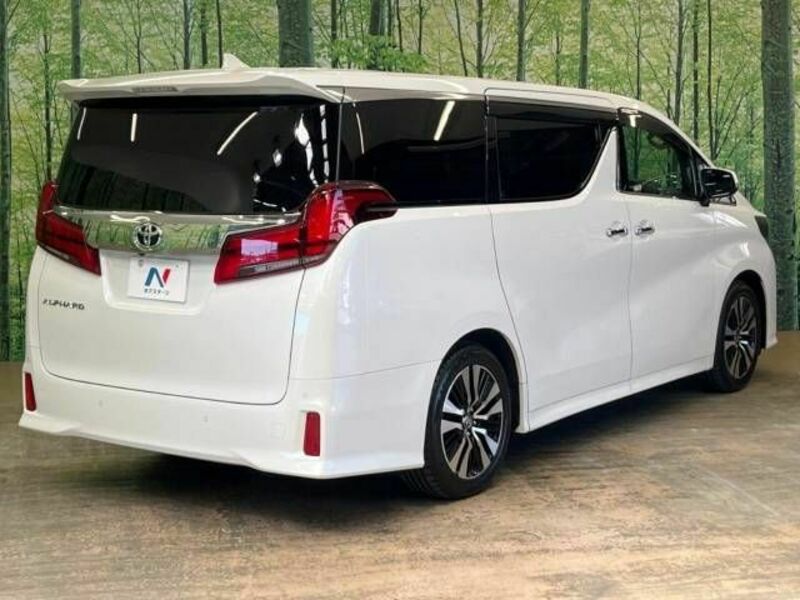 ALPHARD-19