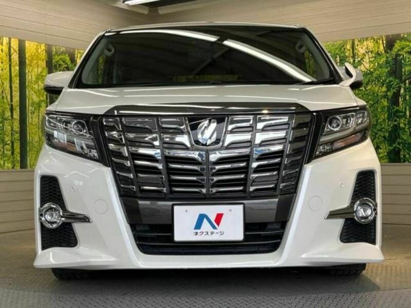 ALPHARD-15