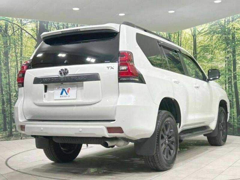 LAND CRUISER PRADO-18