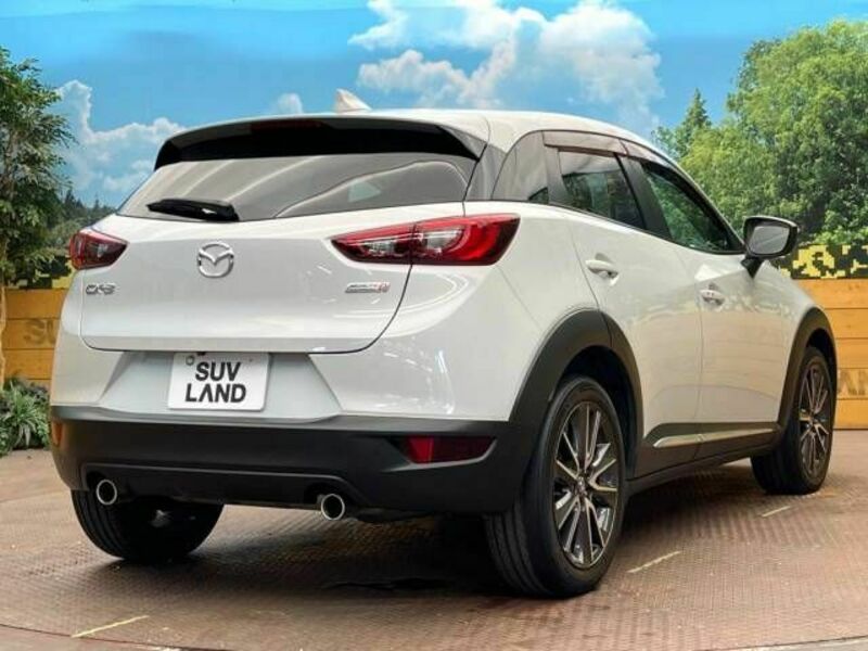 CX-3-17