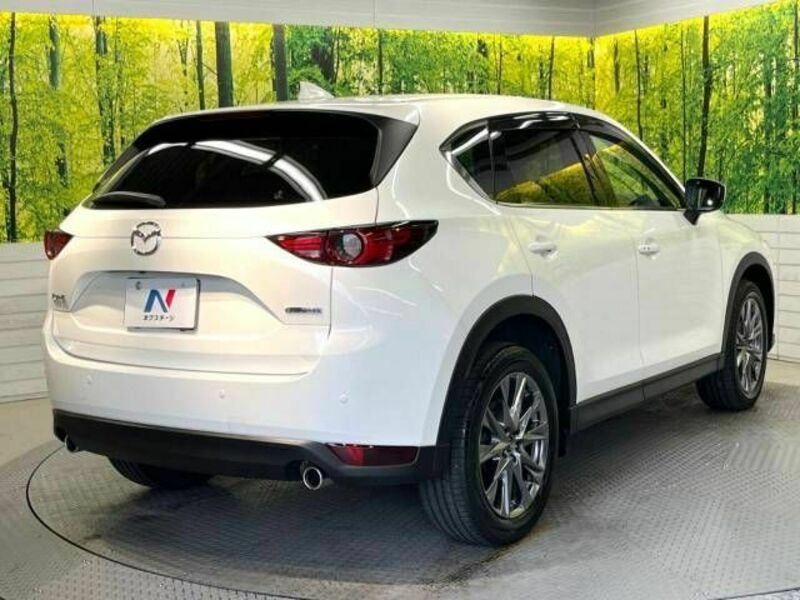 CX-5-17