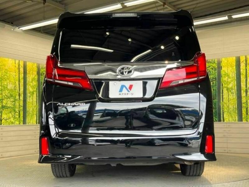 ALPHARD-16