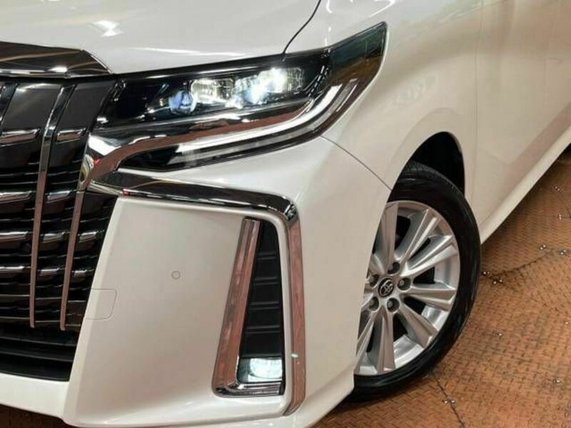 ALPHARD-12