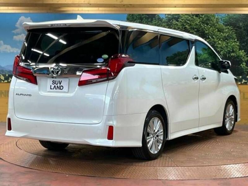 ALPHARD-17