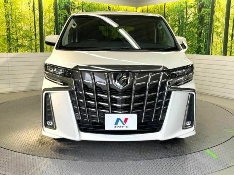 ALPHARD-16