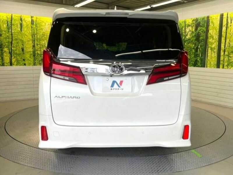 ALPHARD-17