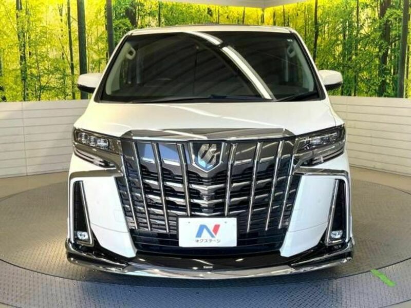 ALPHARD-15