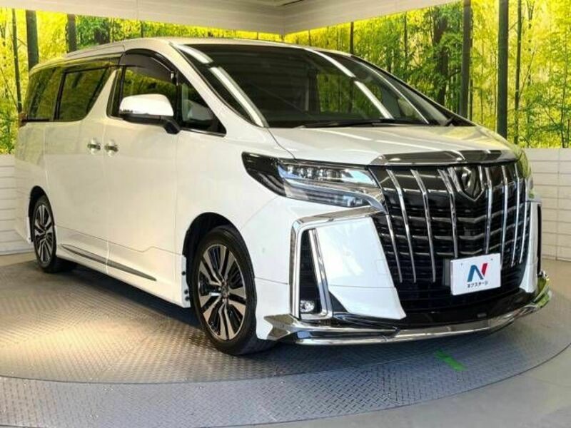 ALPHARD-17