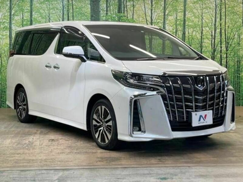 ALPHARD-17