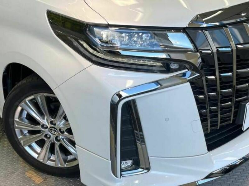 ALPHARD-13