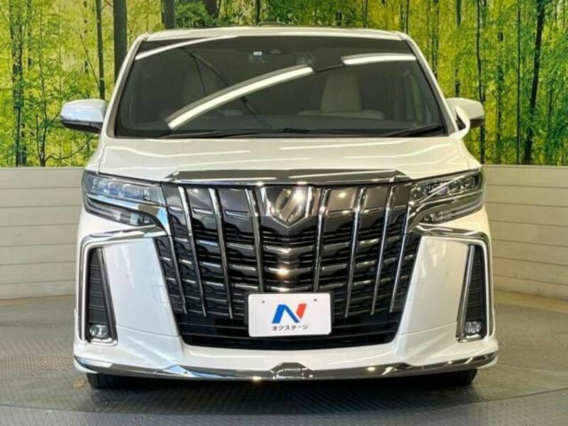 ALPHARD-15