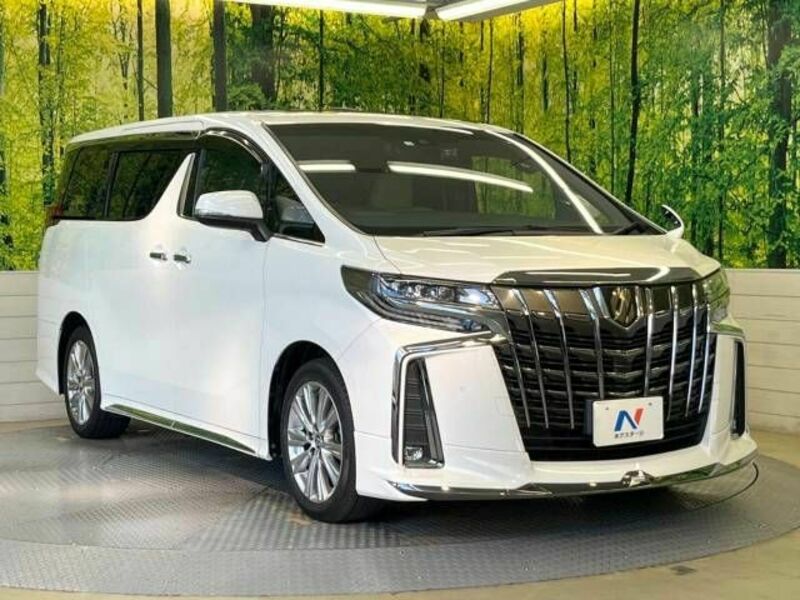 ALPHARD-17