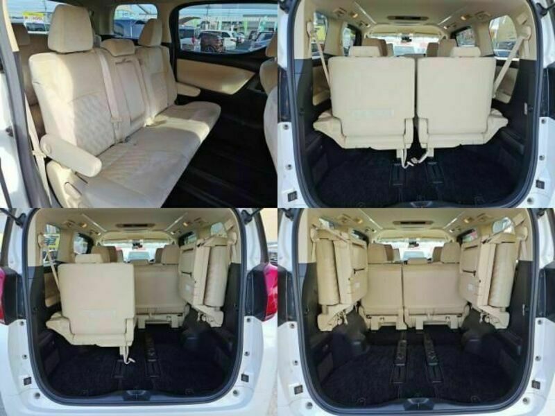 ALPHARD-6