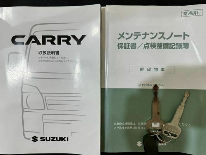 CARRY TRUCK-28