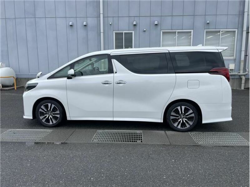 ALPHARD-7