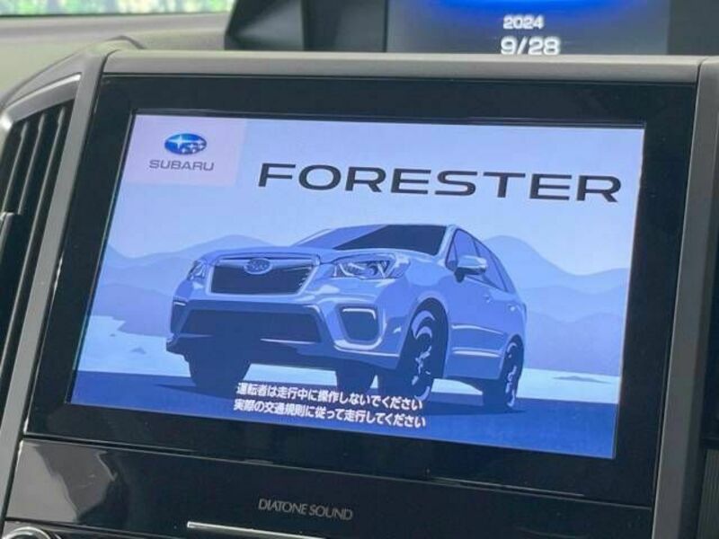 FORESTER-2