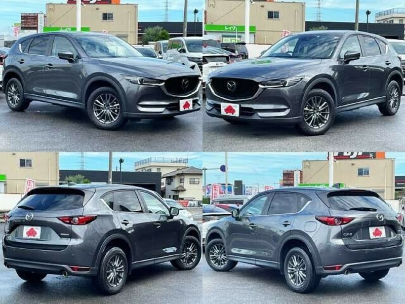 CX-5-8