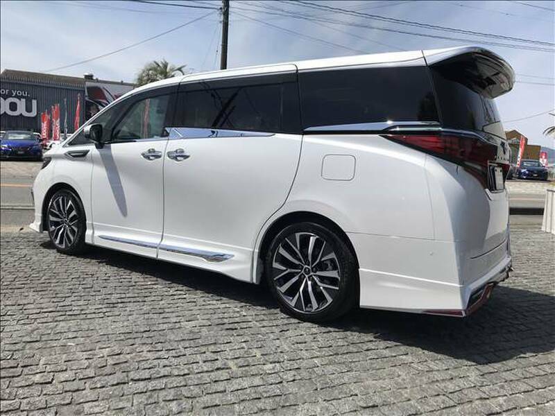 ALPHARD-1